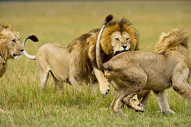 手绘风横版冒险游戏《StellaGale》现已在Steam推出试玩Demo