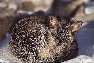 《永劫无间》新赛季“无妄”5月21日上线