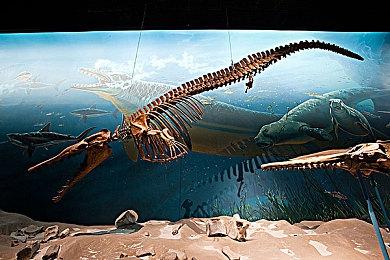 热血弹幕游戏《弹魂：无限爆发》9月登陆Switch