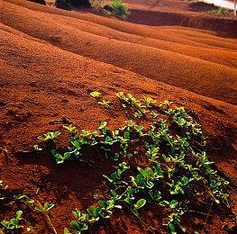 TGS 2021：《勇者斗恶龙10：离线版》发售日公布